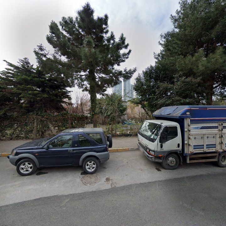 Fotoğraf 12