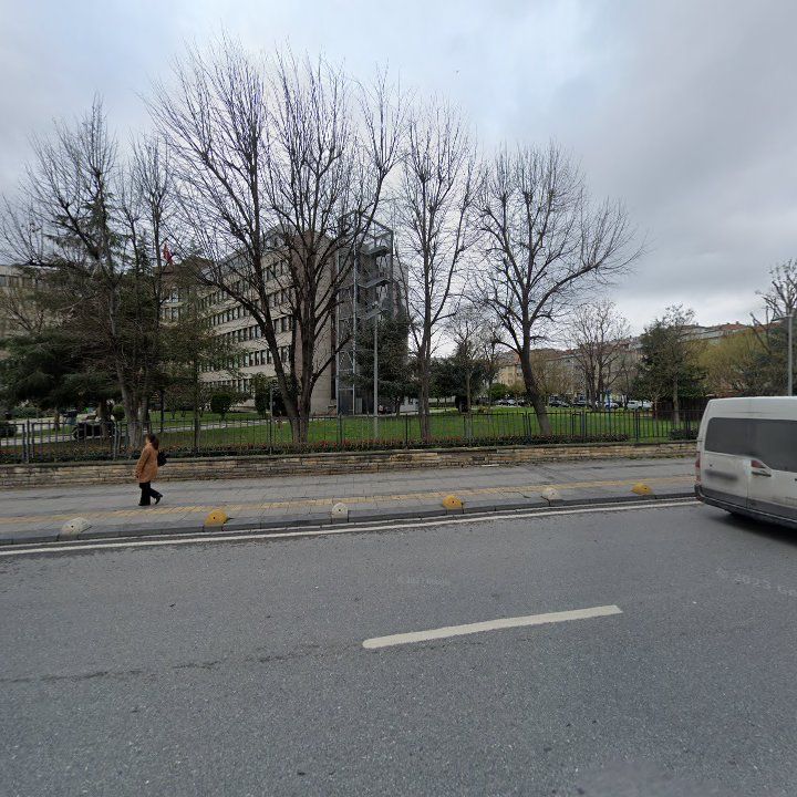 Fotoğraf 12