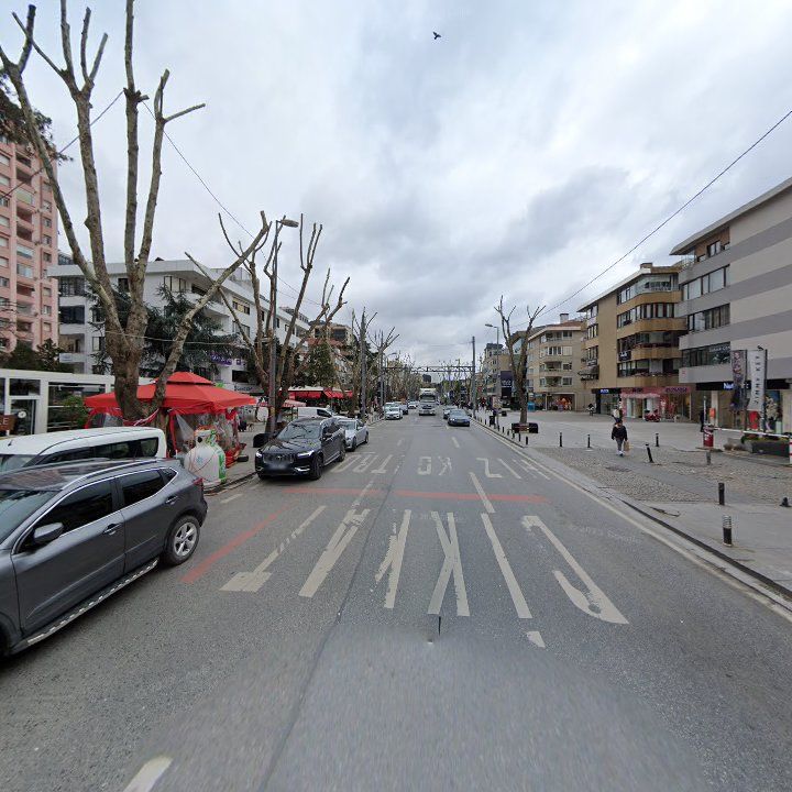 Fotoğraf 15
