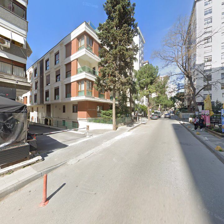 Fotoğraf 12