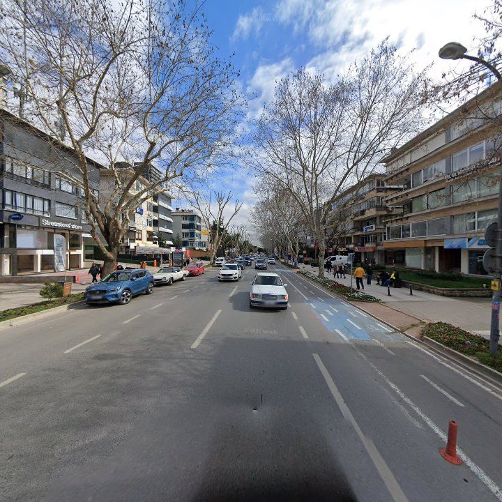 Fotoğraf 12