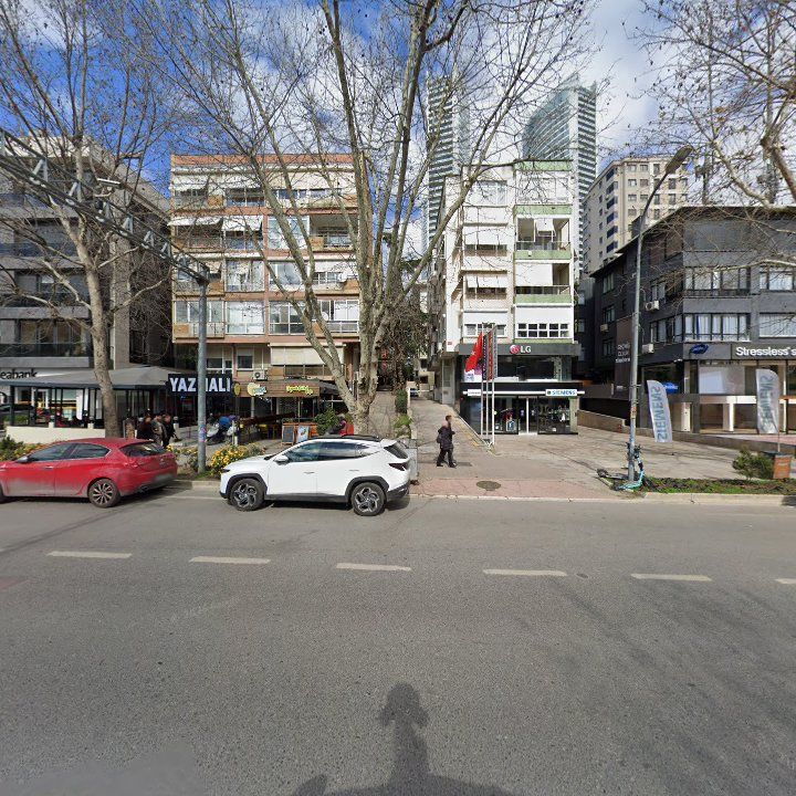 Fotoğraf 11