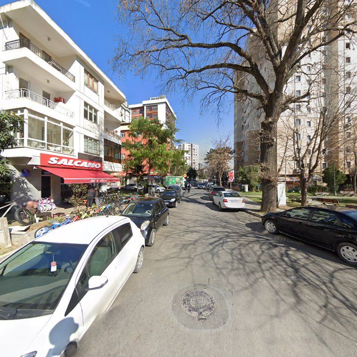 Fotoğraf 8