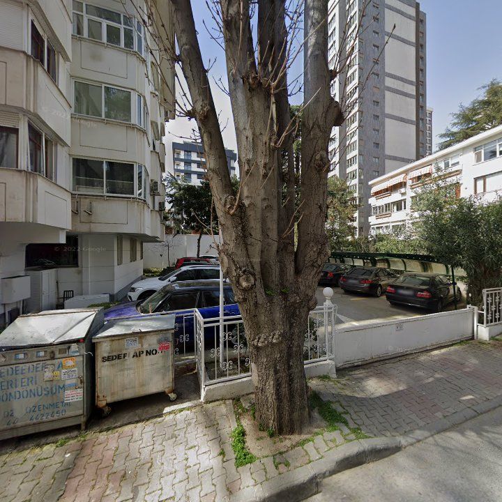 Fotoğraf 12