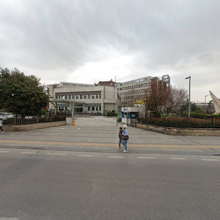 Fotoğraf 12