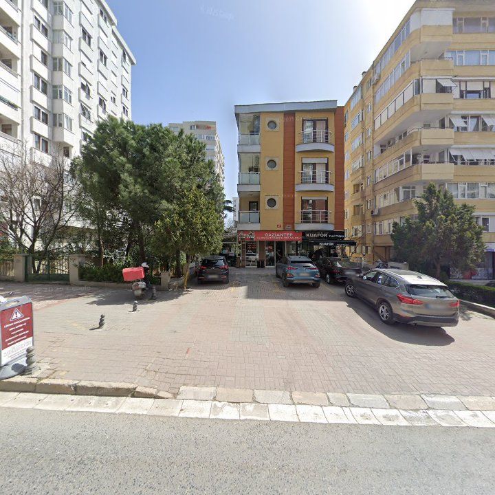 Fotoğraf 15