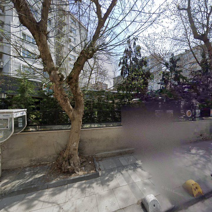 Fotoğraf 12