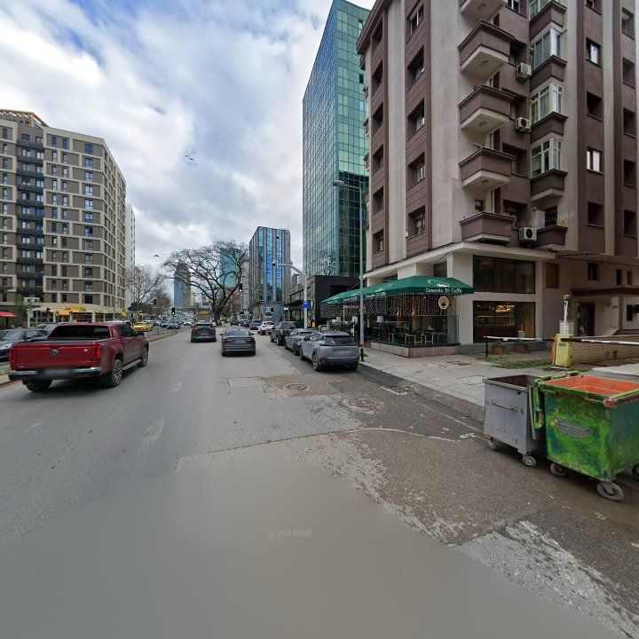 Fotoğraf 11