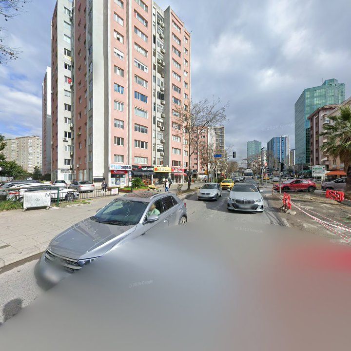 Fotoğraf 12