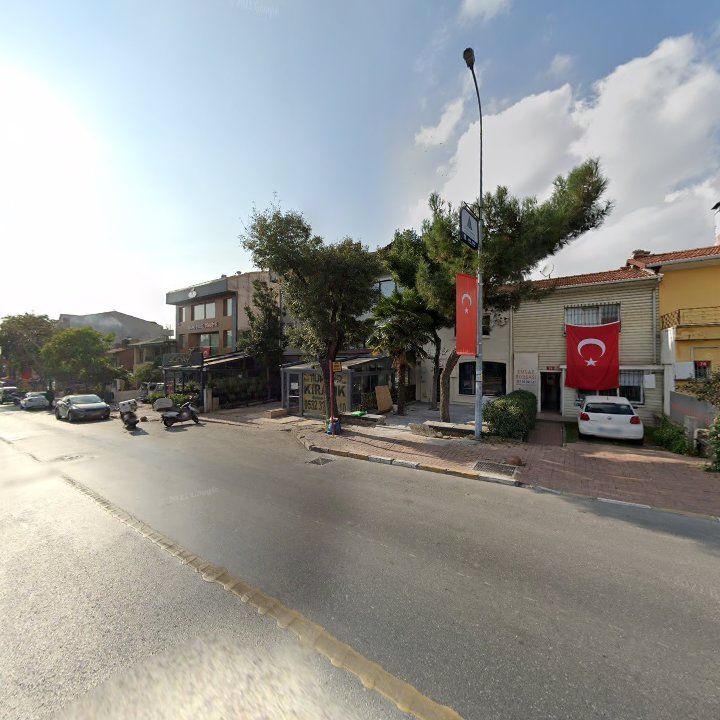 Fotoğraf 11