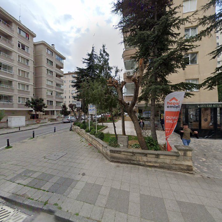 Fotoğraf 12
