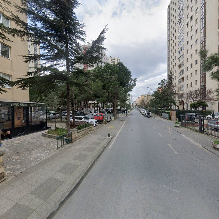 Fotoğraf 13