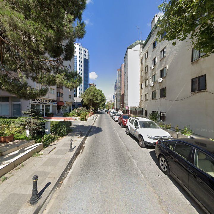 Fotoğraf 11