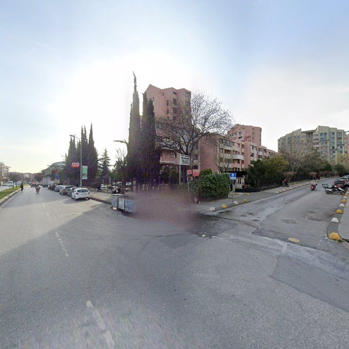 Fotoğraf 14
