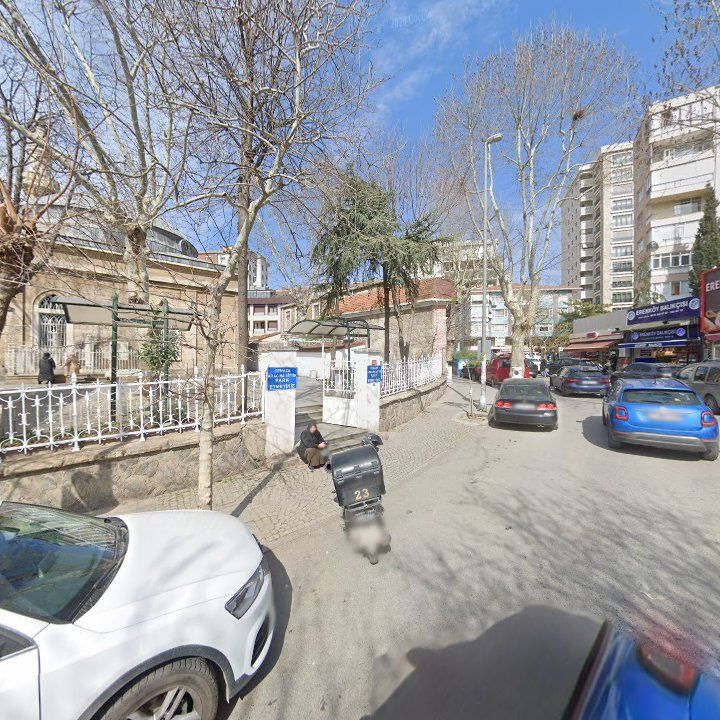 Fotoğraf 10