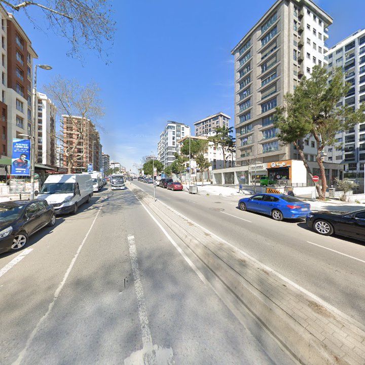 Fotoğraf 12