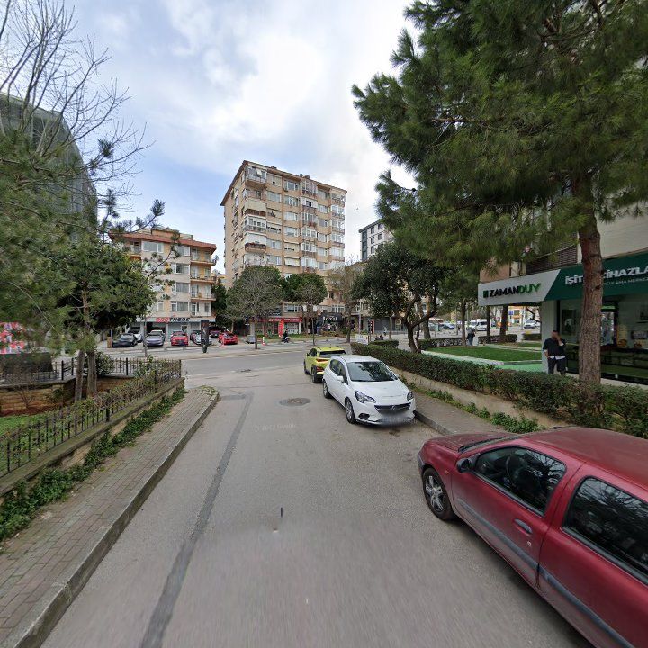 Fotoğraf 10