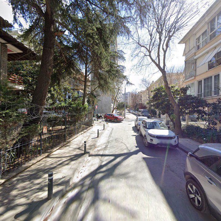 Fotoğraf 16