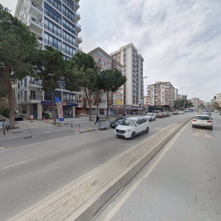 Fotoğraf 12