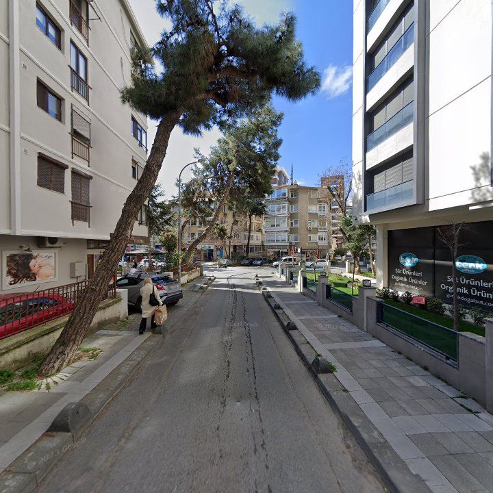 Fotoğraf 12
