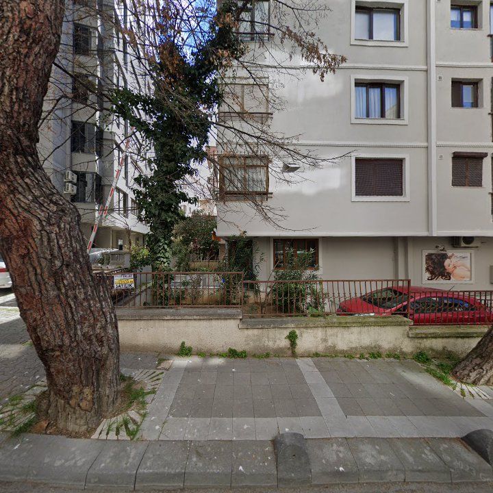 Fotoğraf 11