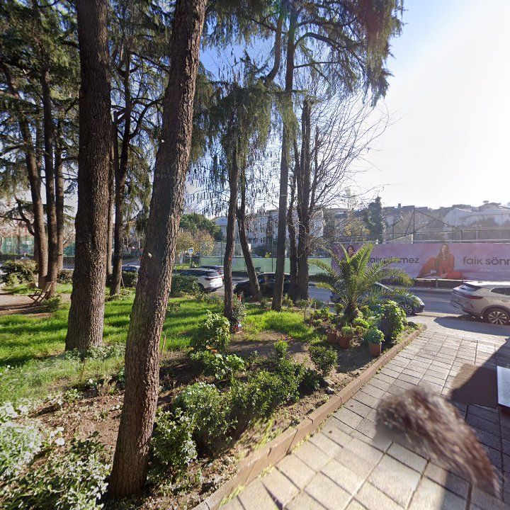 Fotoğraf 15