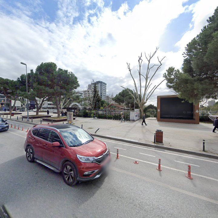Fotoğraf 11