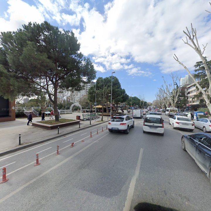 Fotoğraf 12