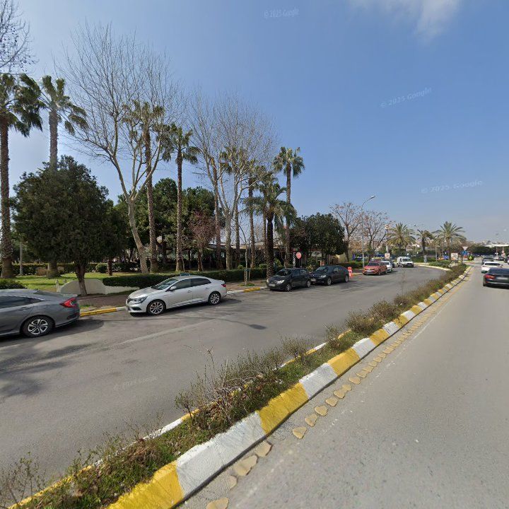 Fotoğraf 10