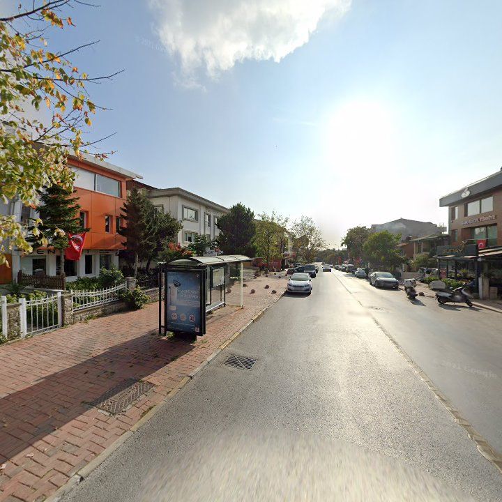 Fotoğraf 10