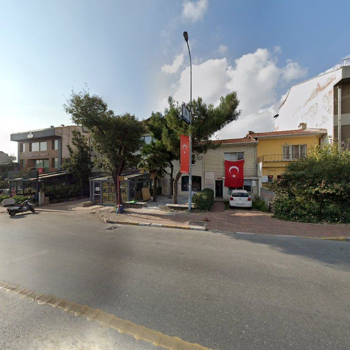 Fotoğraf 11