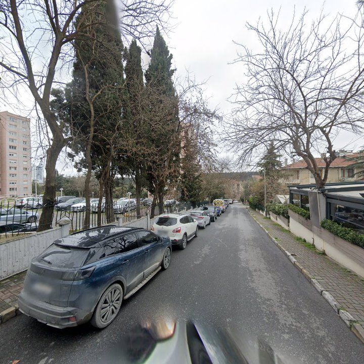 Fotoğraf 13