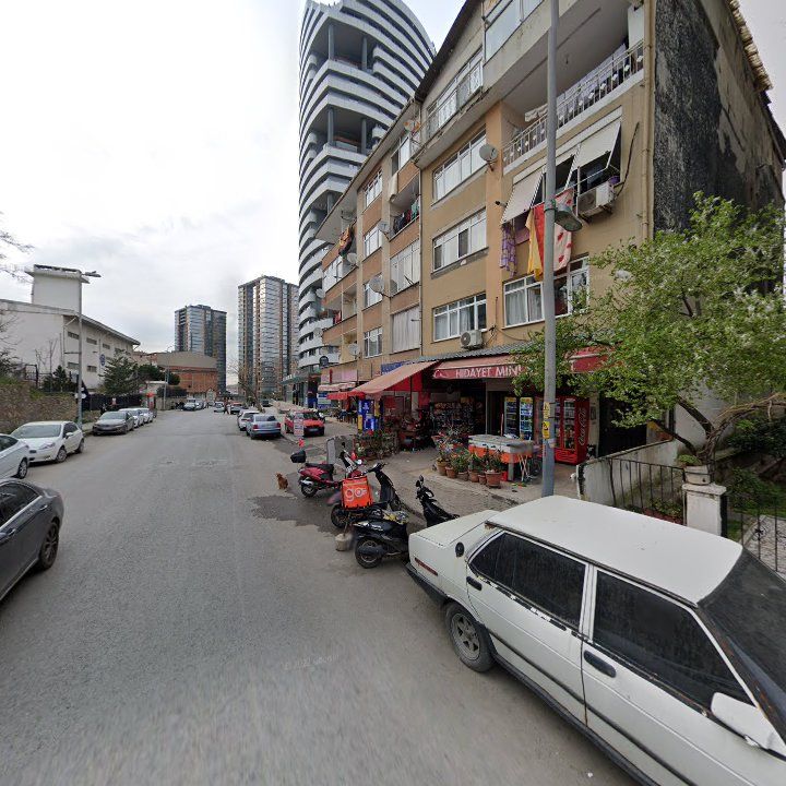 Fotoğraf 8