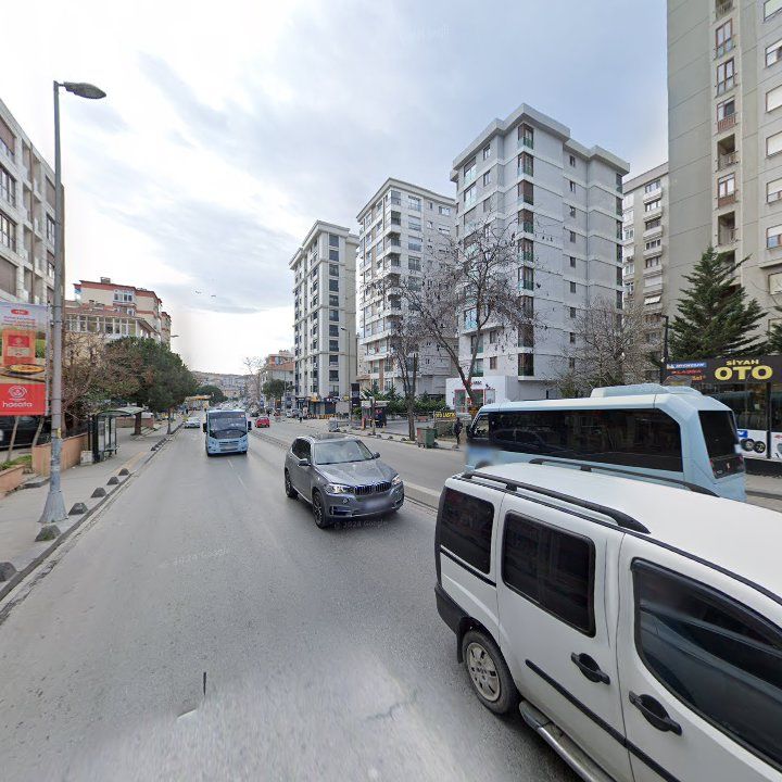 Fotoğraf 12