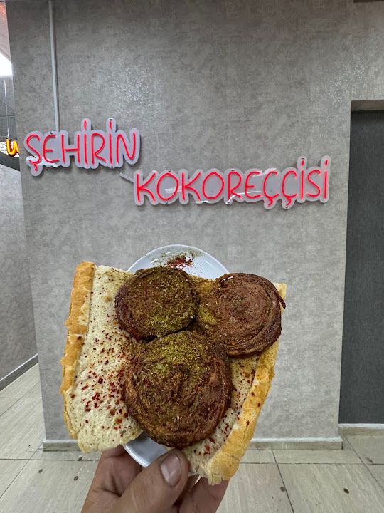 Fotoğraf 12