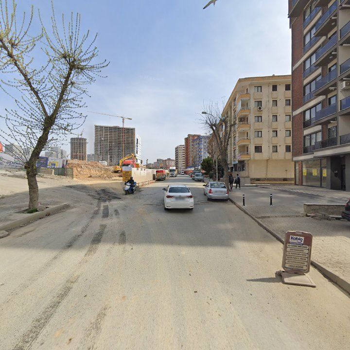 Fotoğraf 8
