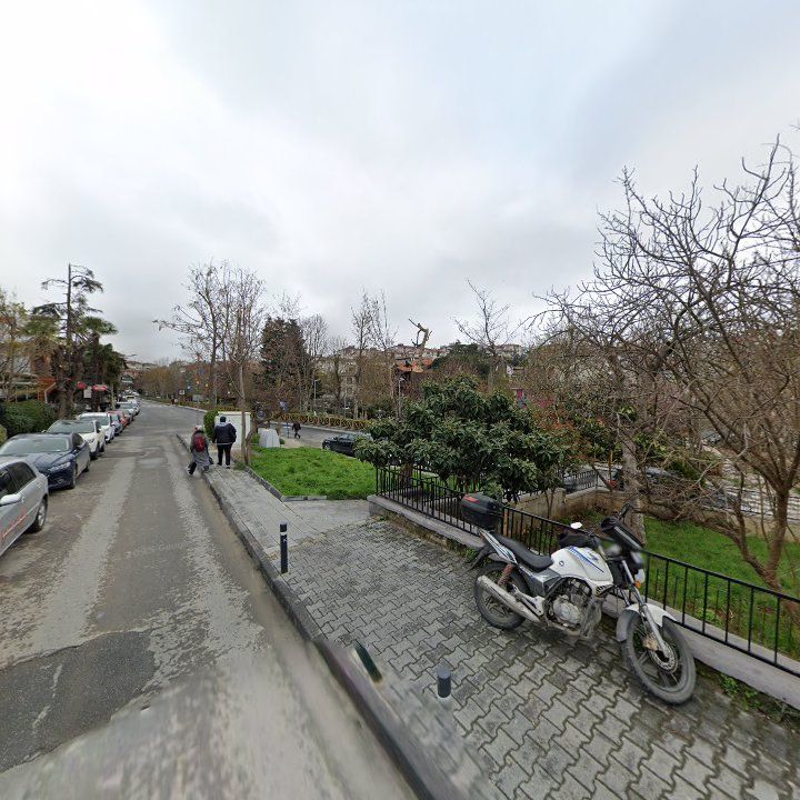 Fotoğraf 10