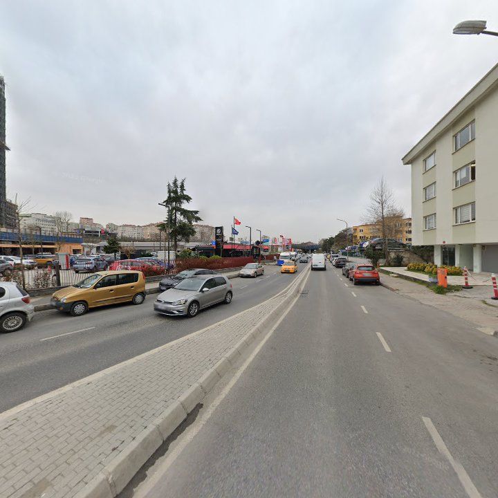 Fotoğraf 12