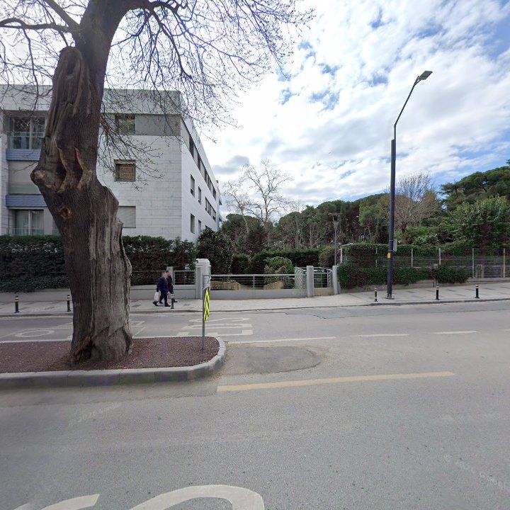 Fotoğraf 11
