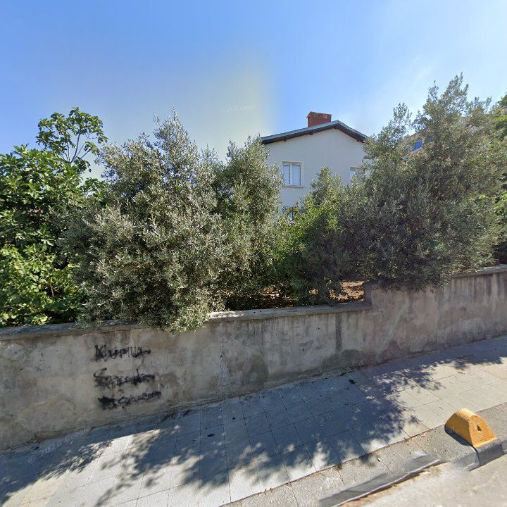 Fotoğraf 10