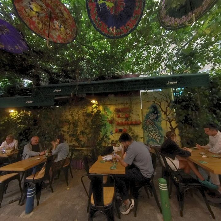 Fotoğraf 8