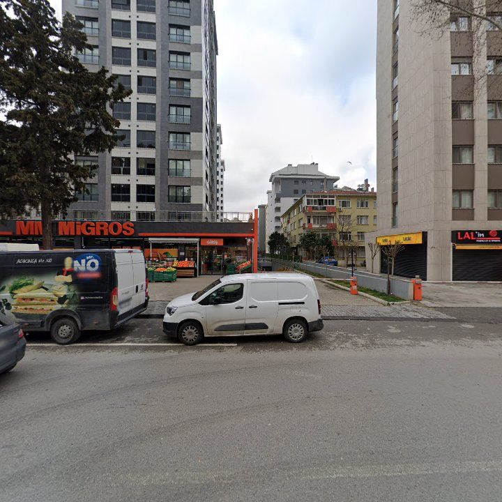 Fotoğraf 12