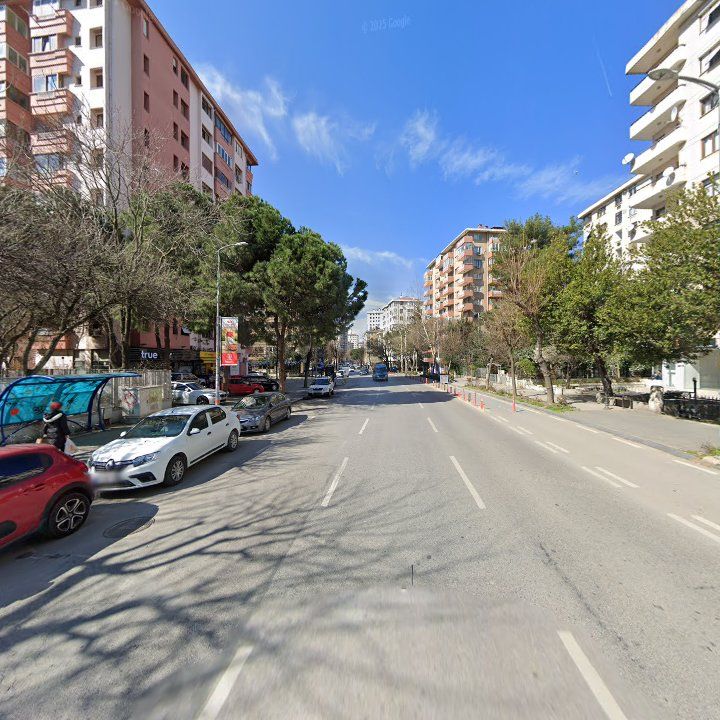 Fotoğraf 16