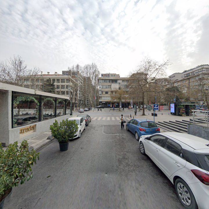 Fotoğraf 14