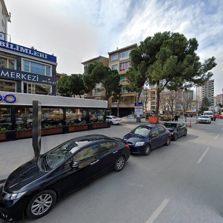 Fotoğraf 11