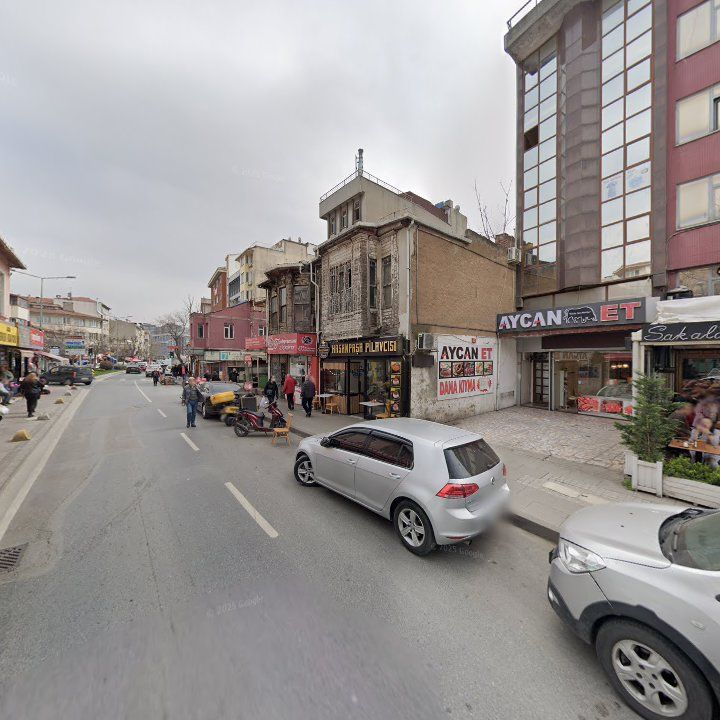 Fotoğraf 10