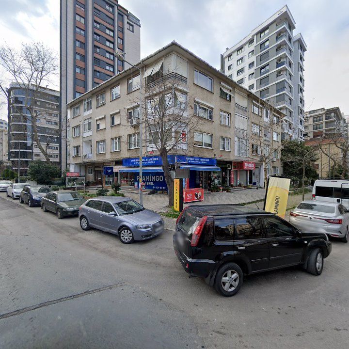 Fotoğraf 11