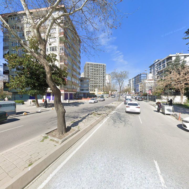 Fotoğraf 12