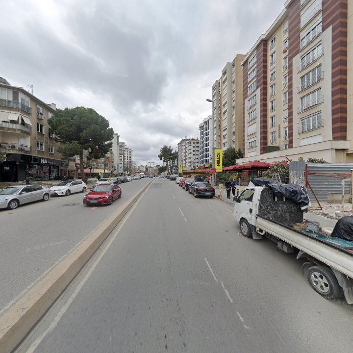 Fotoğraf 10
