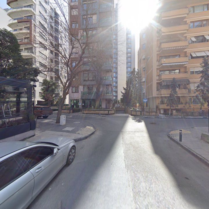 Fotoğraf 15